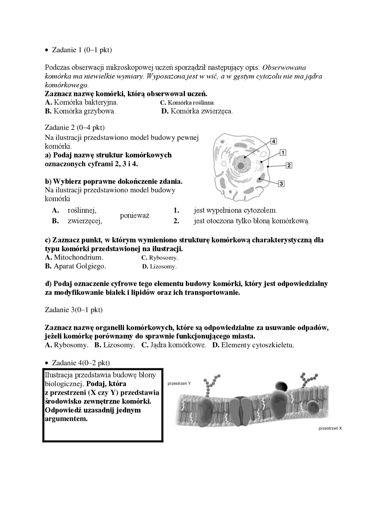 Komórka klasa 1 pdf domument | Zadania Biologia | Docsity