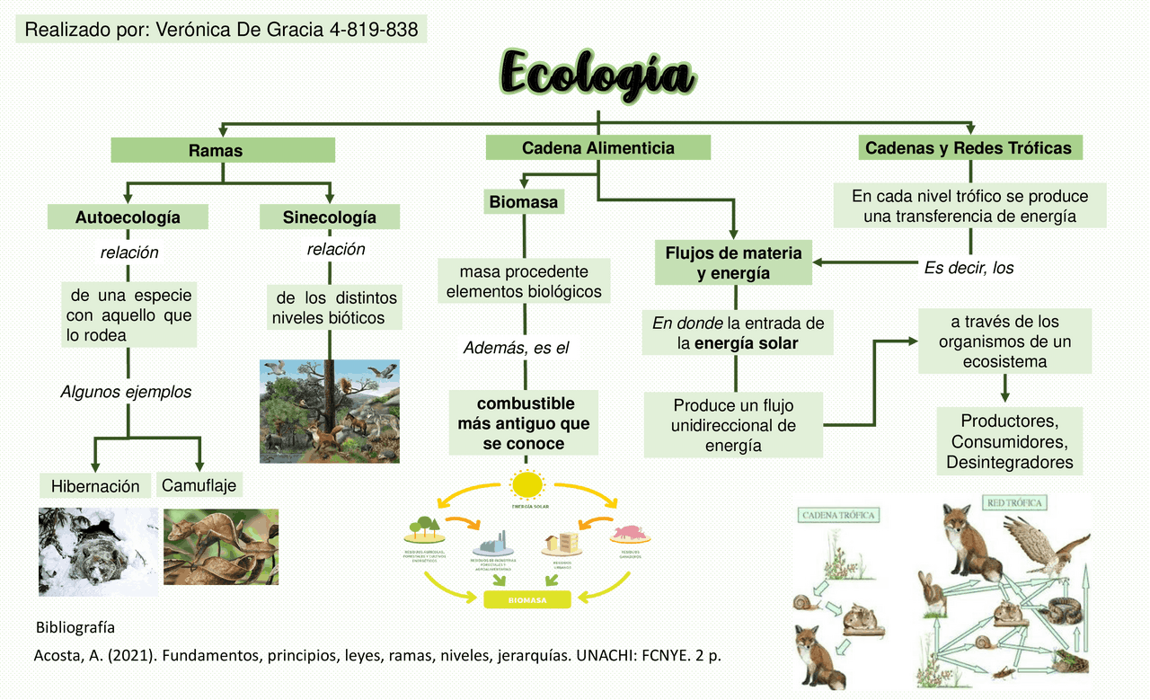 Ecologia Y Medio Ambiente Mapa Conceptual Mapapapa | Porn Sex Picture