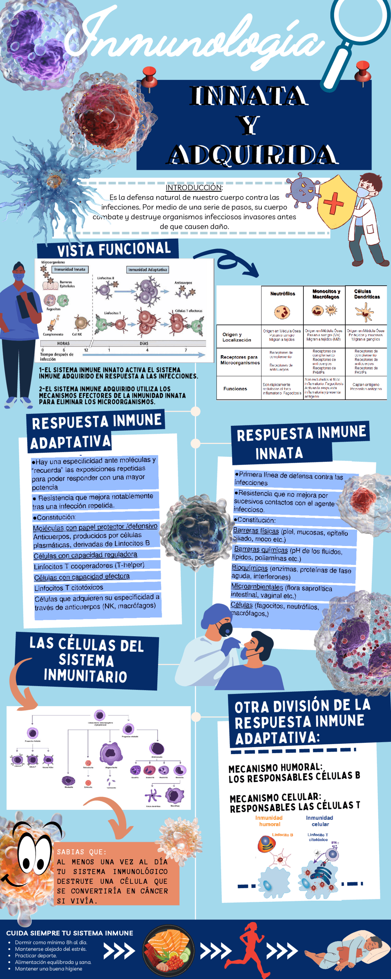 Inmunidad innata y adaptativa | Esquemas y mapas conceptuales de ...