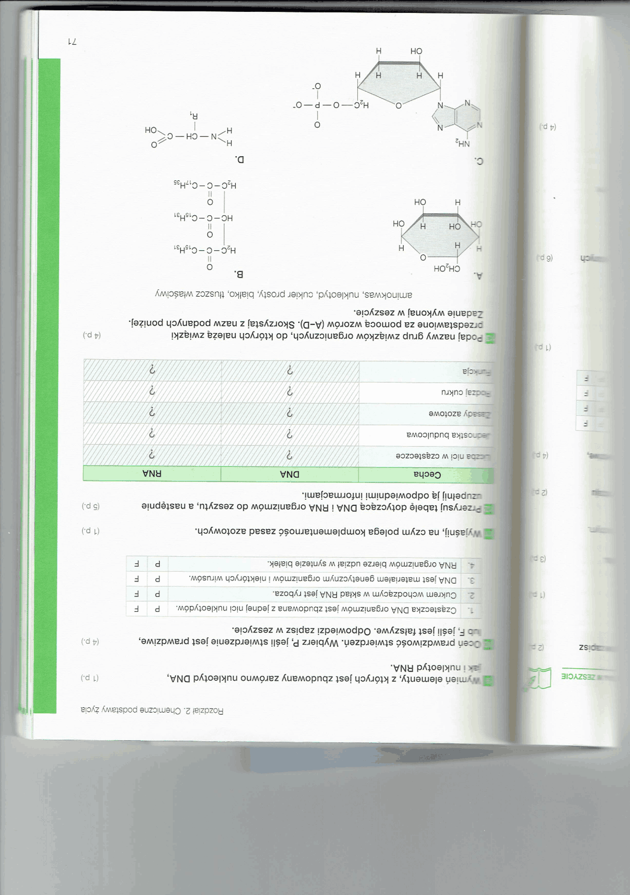 Biologia-chemiczne podstawy życia | Ćwiczenia Biologia | Docsity