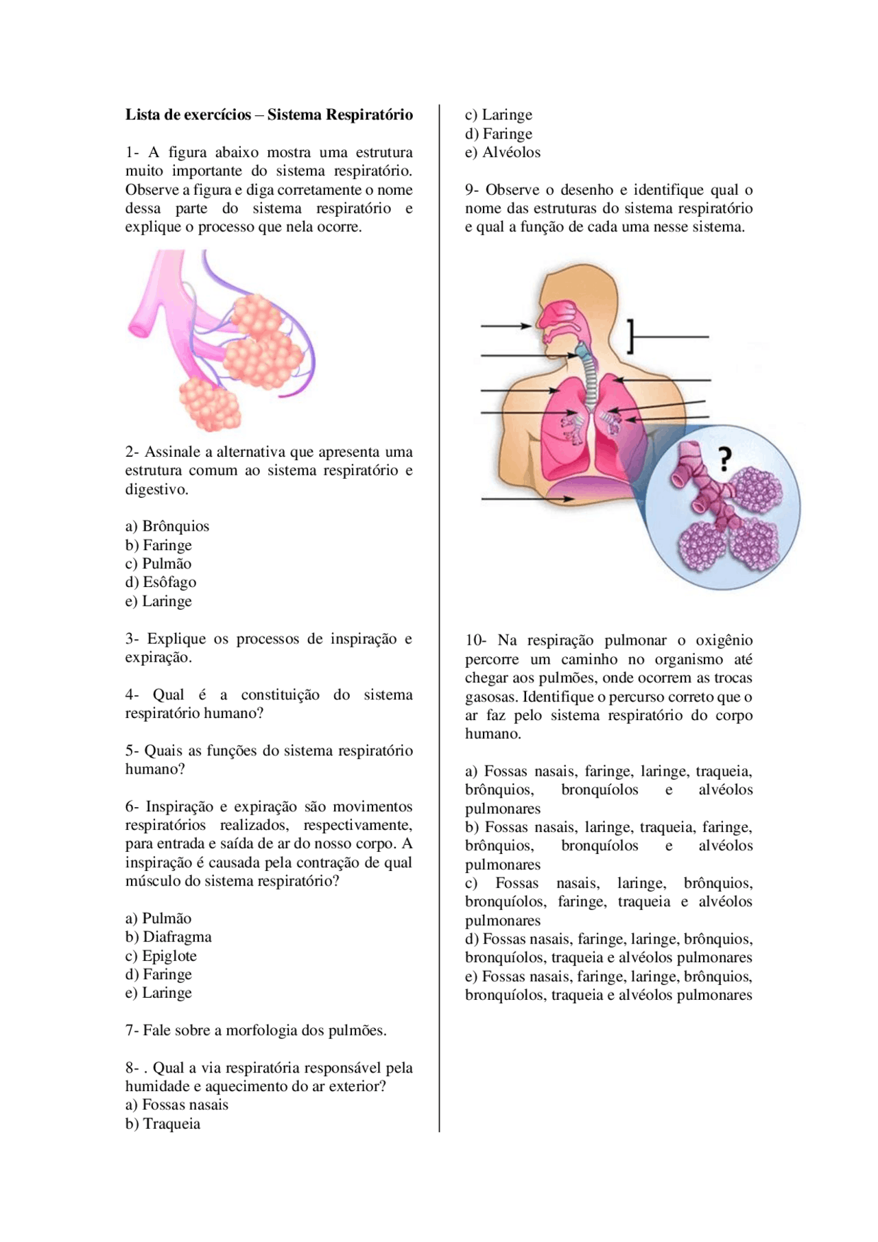 Exercícios sobre sistema respiratório | Exercícios Anatomia | Docsity