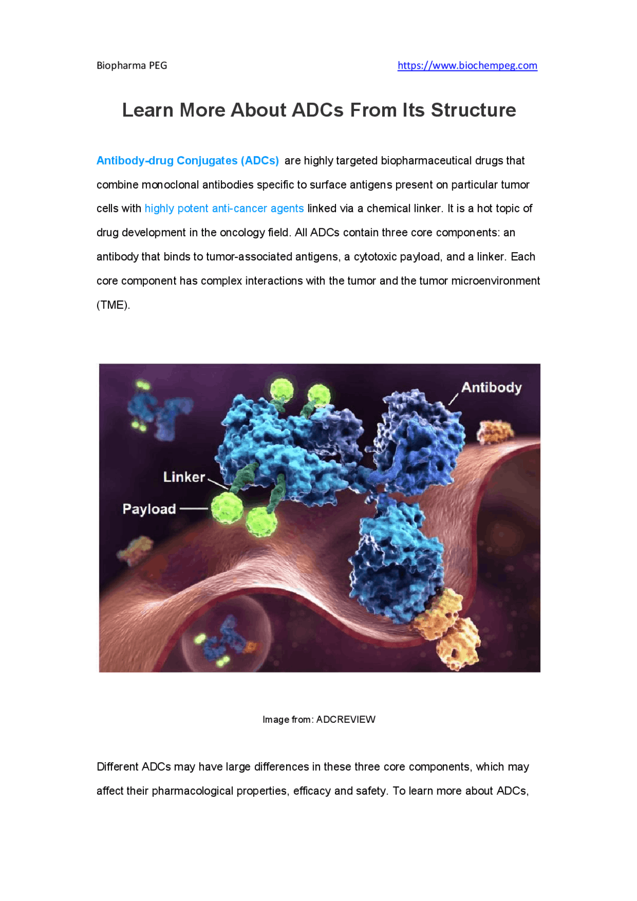 Adcd Complement Learn More About ADCs From Its Structure - Docsity