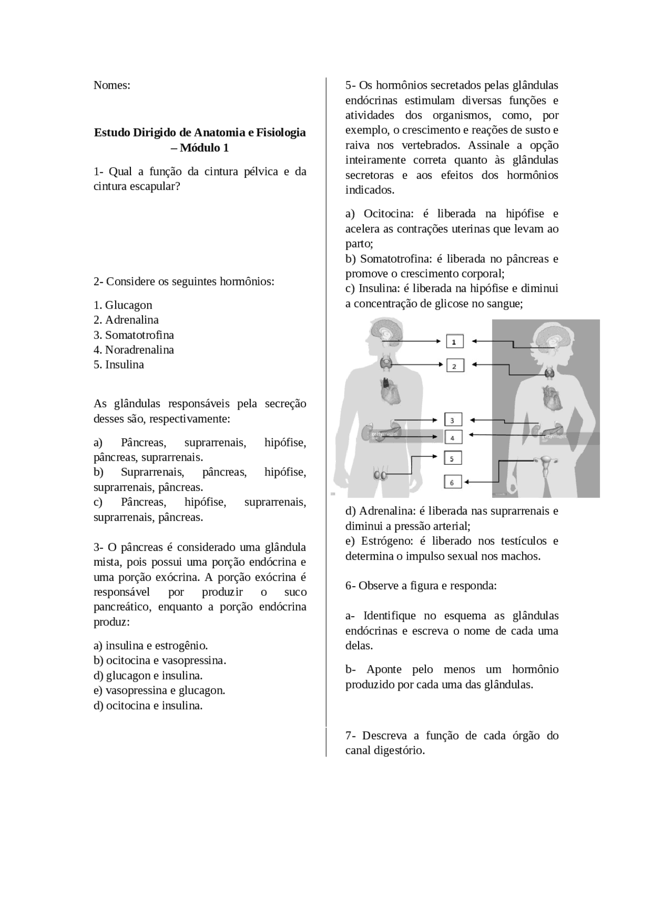 Exercícios sobre sistema endócrino | Exercícios Anatomia | Docsity