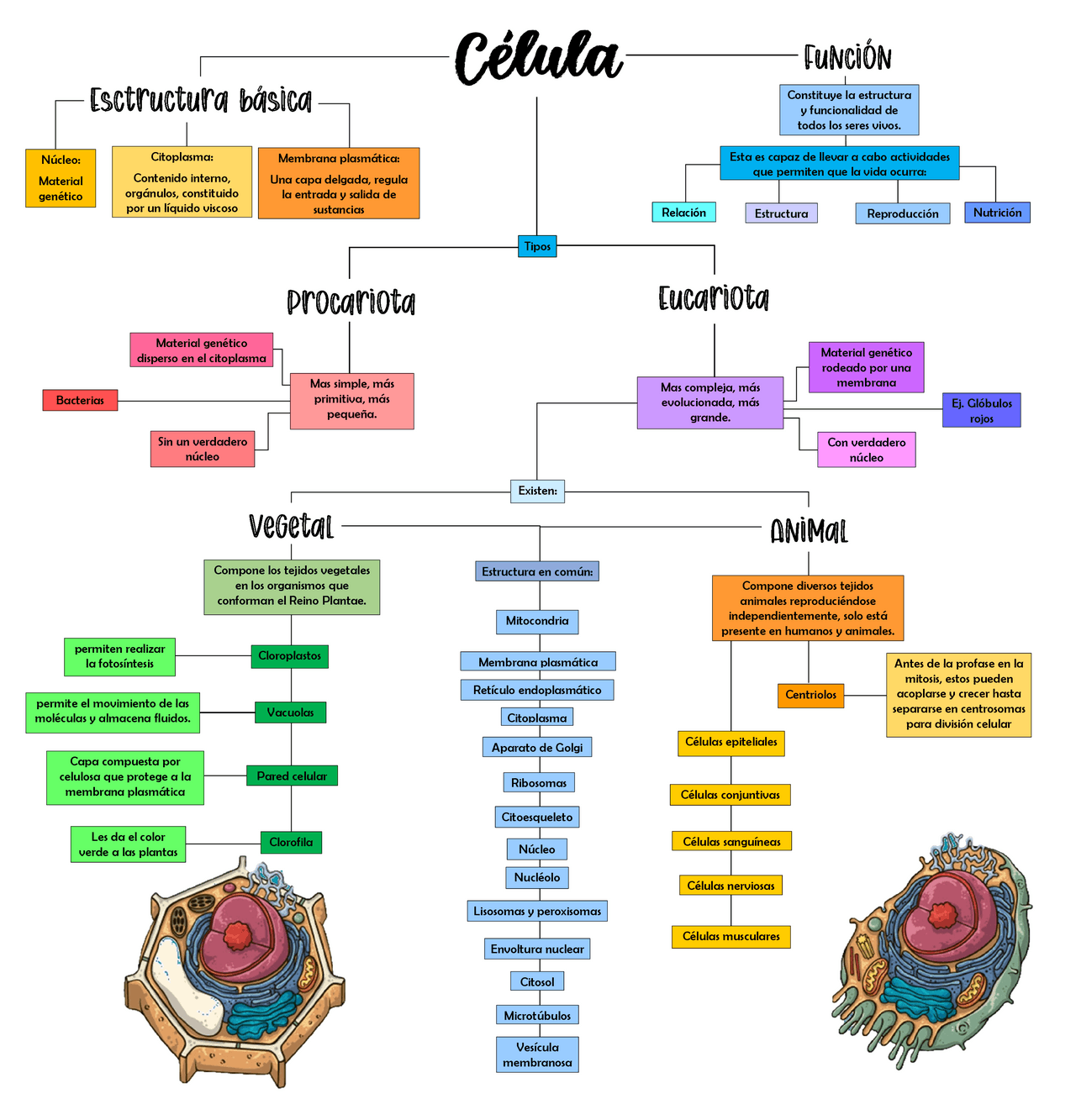 Mapa Mental Celula Eucarionte - FDPLEARN