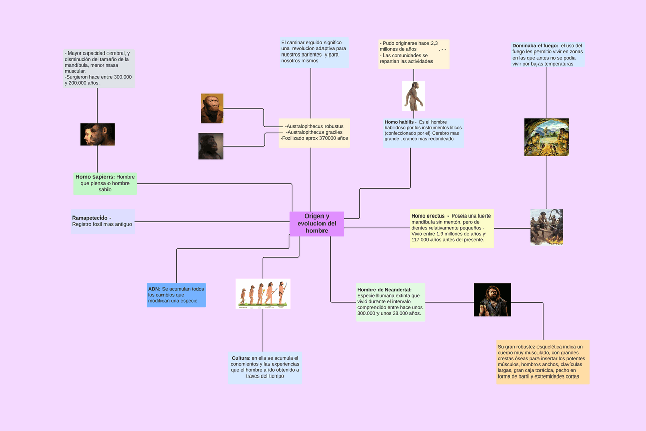 Mapa conceptual - Orígen del hombre - La odisea de la especie
