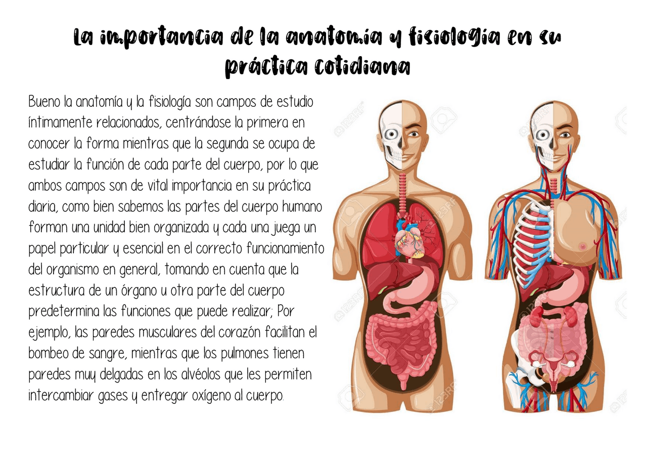 Porque Es Importante Conocer La Anatomia Y Fisiologia