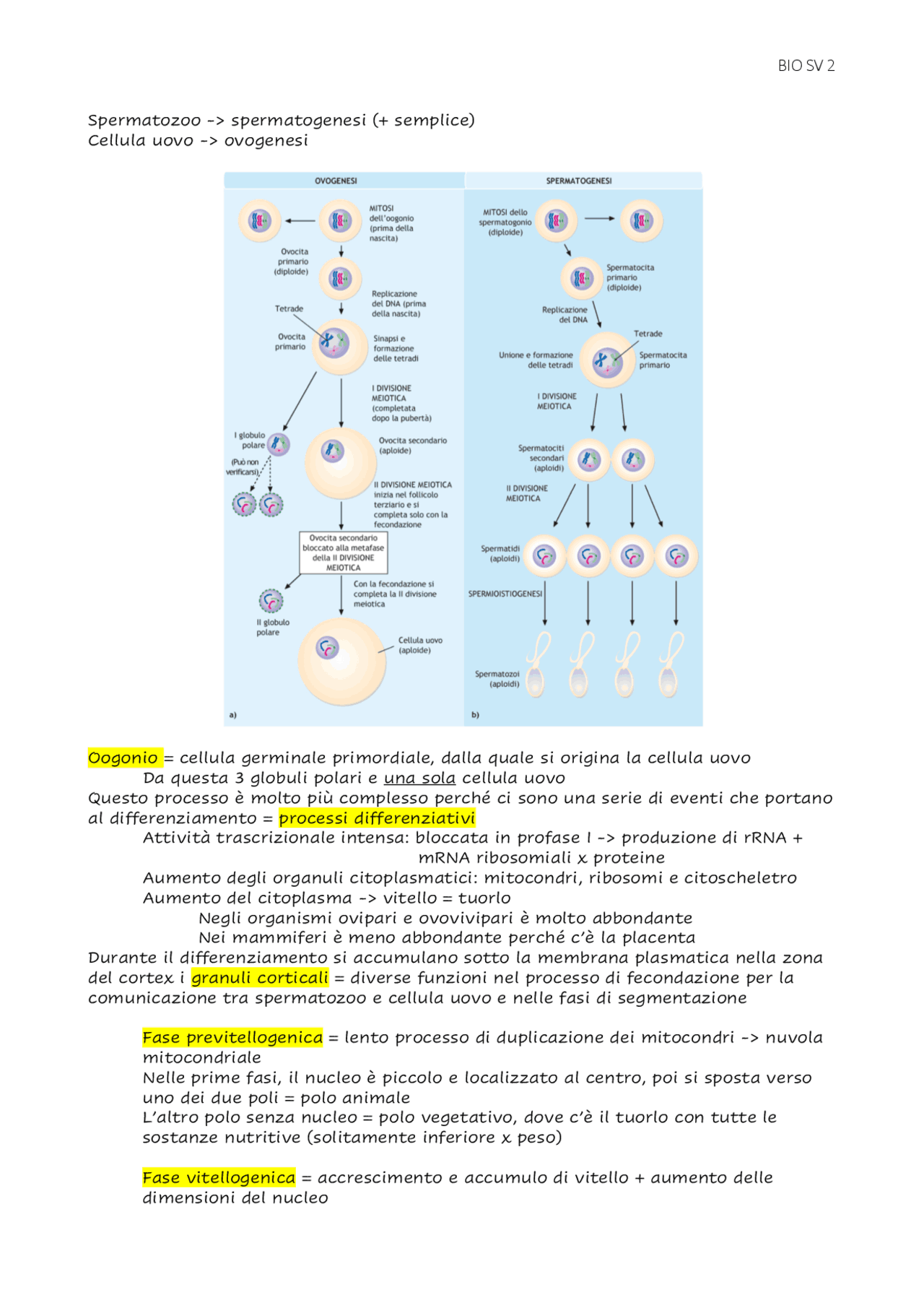 Lezioni di biologia dello sviluppo Schemi e mappe concettuali di