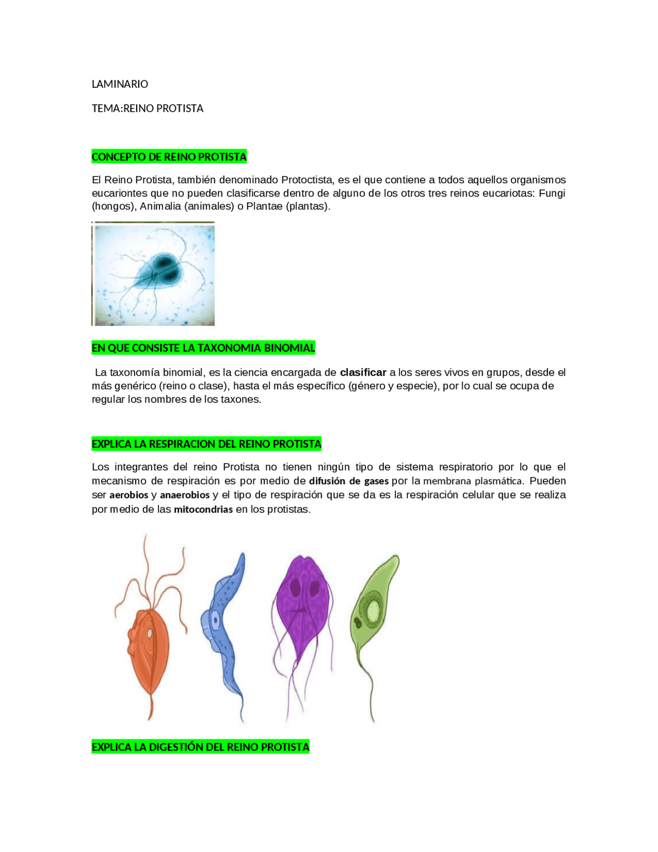 Laminario del Reino Protista | Resúmenes de Biología | Docsity