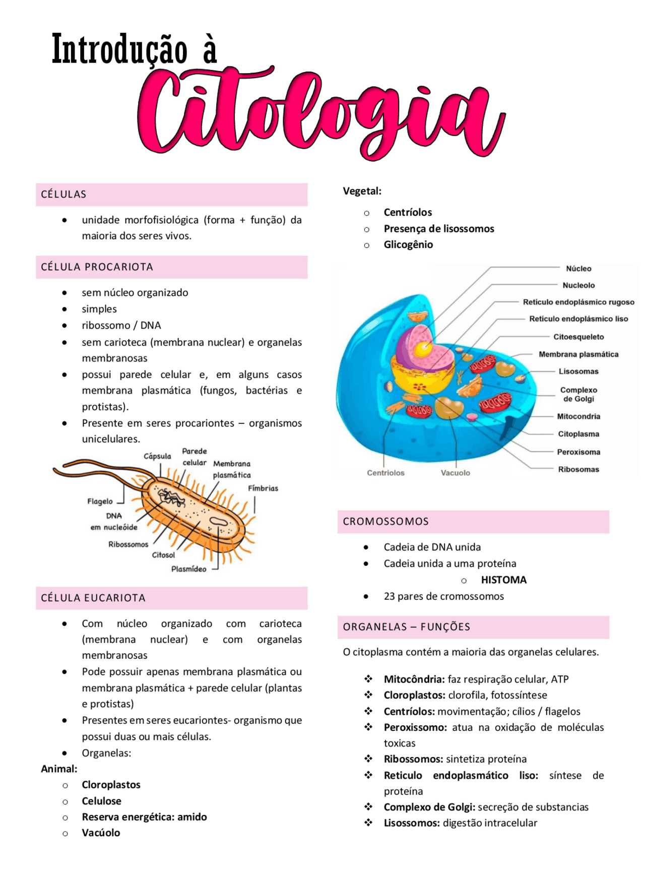 Citologia Histologia E Embriologia - BINKEDU