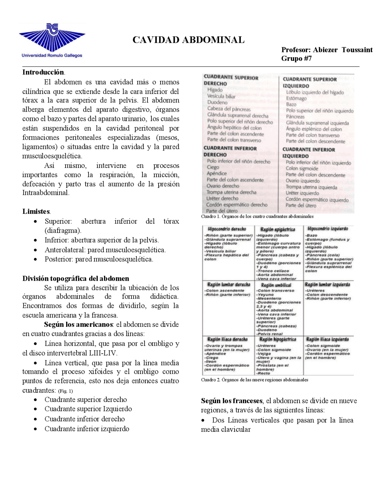 Generalidades de la cavidad abdominal | Resúmenes de Anatomía | Docsity