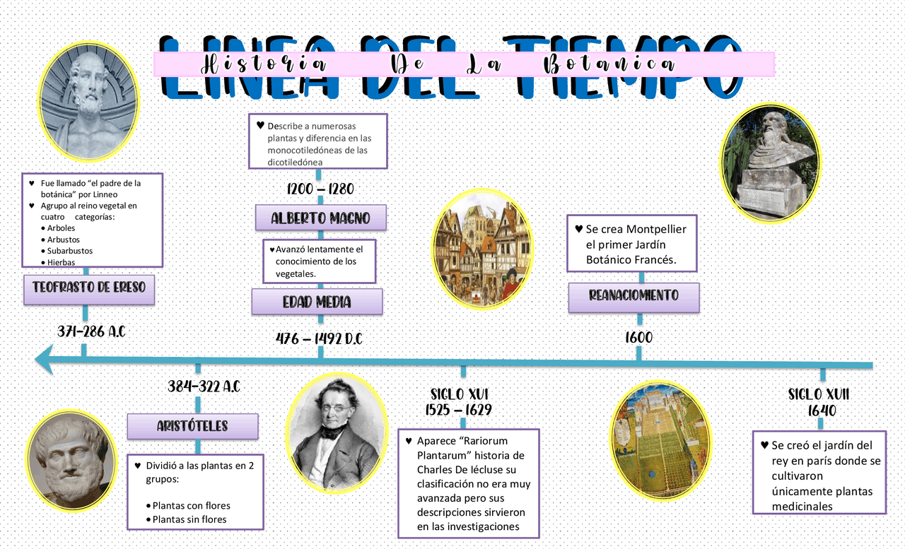 Historia de la botanica linea del tiempo | Apuntes de Biología | Docsity