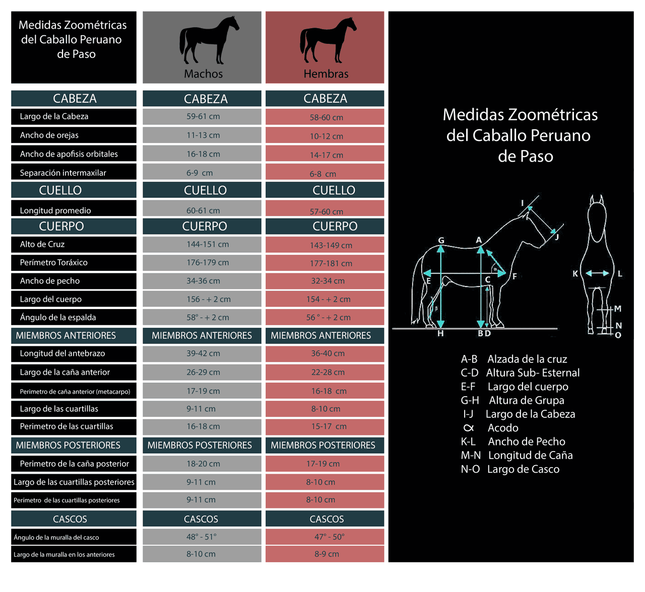 Medidas zoométricas de caballo peruano y