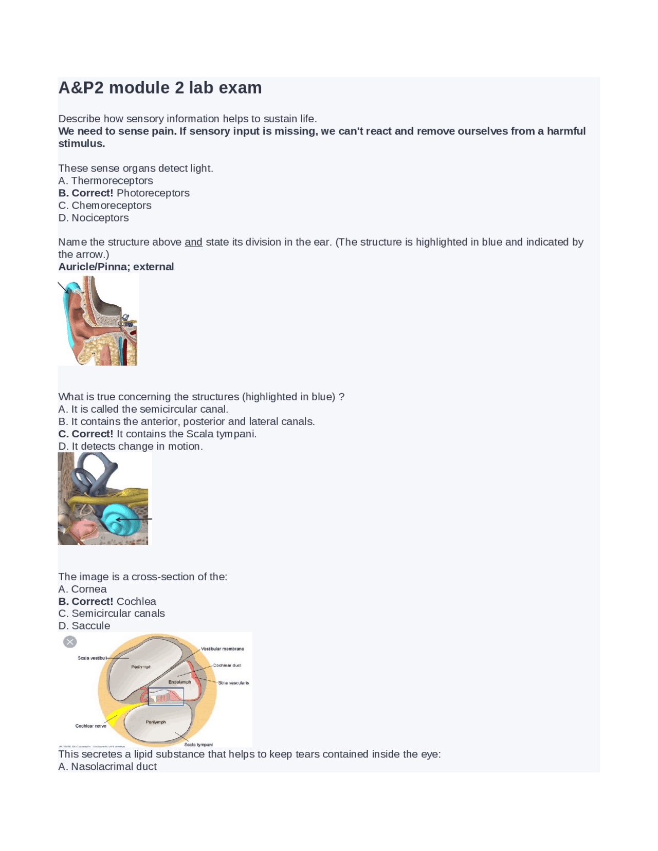 Anatomy And Physiology 2 Lab Final Exam 12