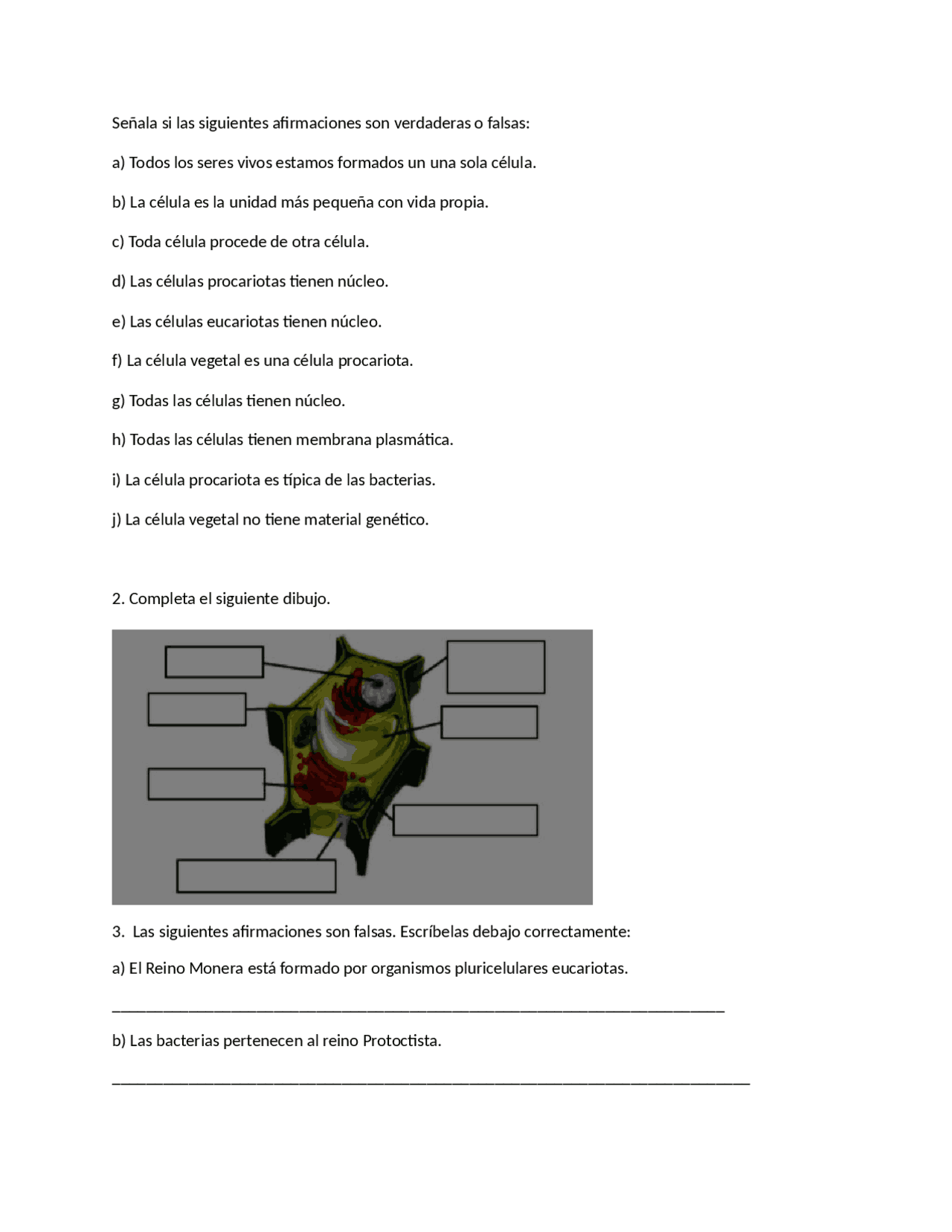 Ejercicios de Biología: Verdad o Falso sobre Células | Ejercicios de  Biología | Docsity