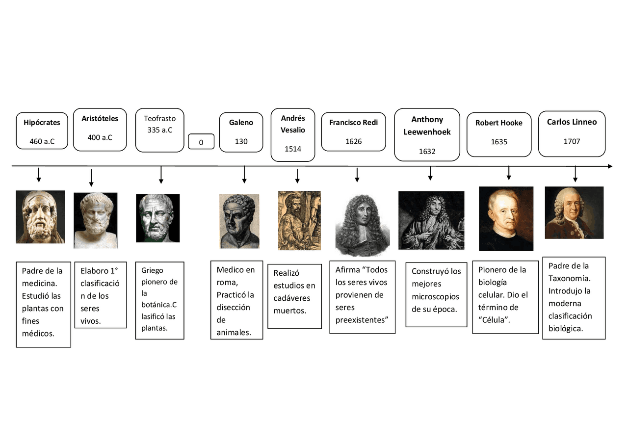 Linea del tiempo sobre las historia de la biologia | Esquemas y mapas