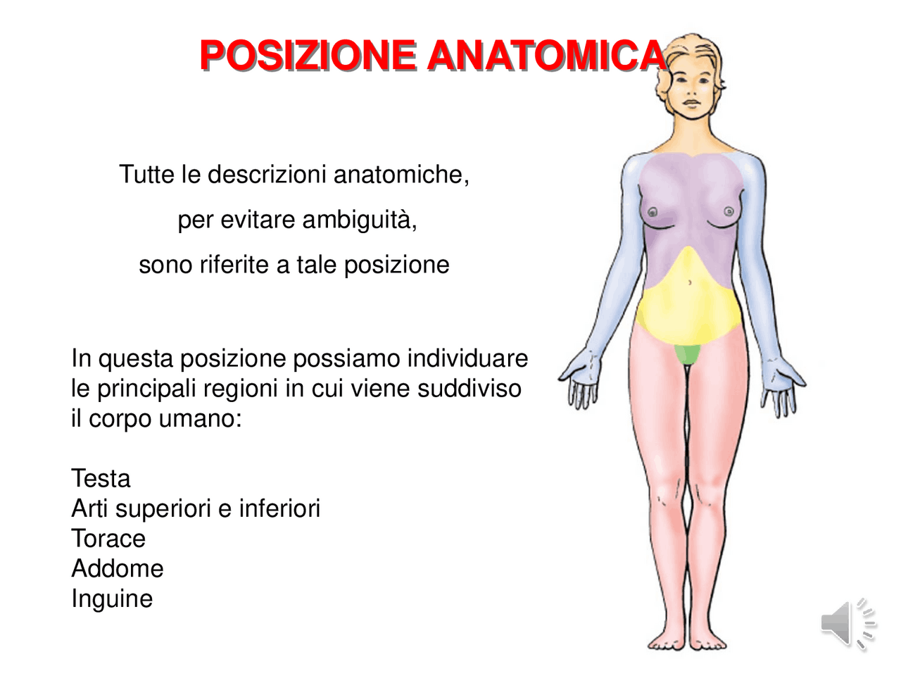 assi e piani del corpo umano