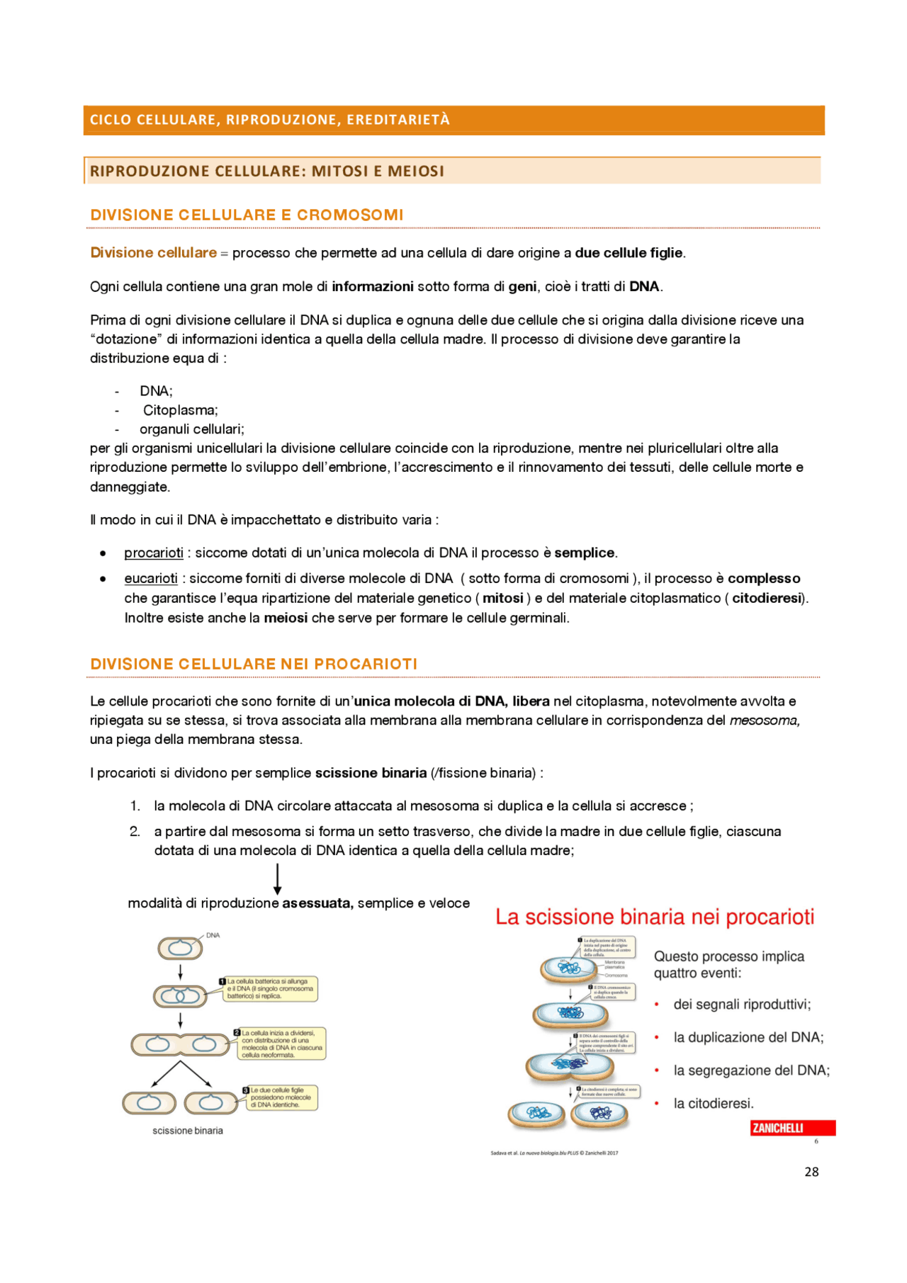 quiz biologia per tolc psi