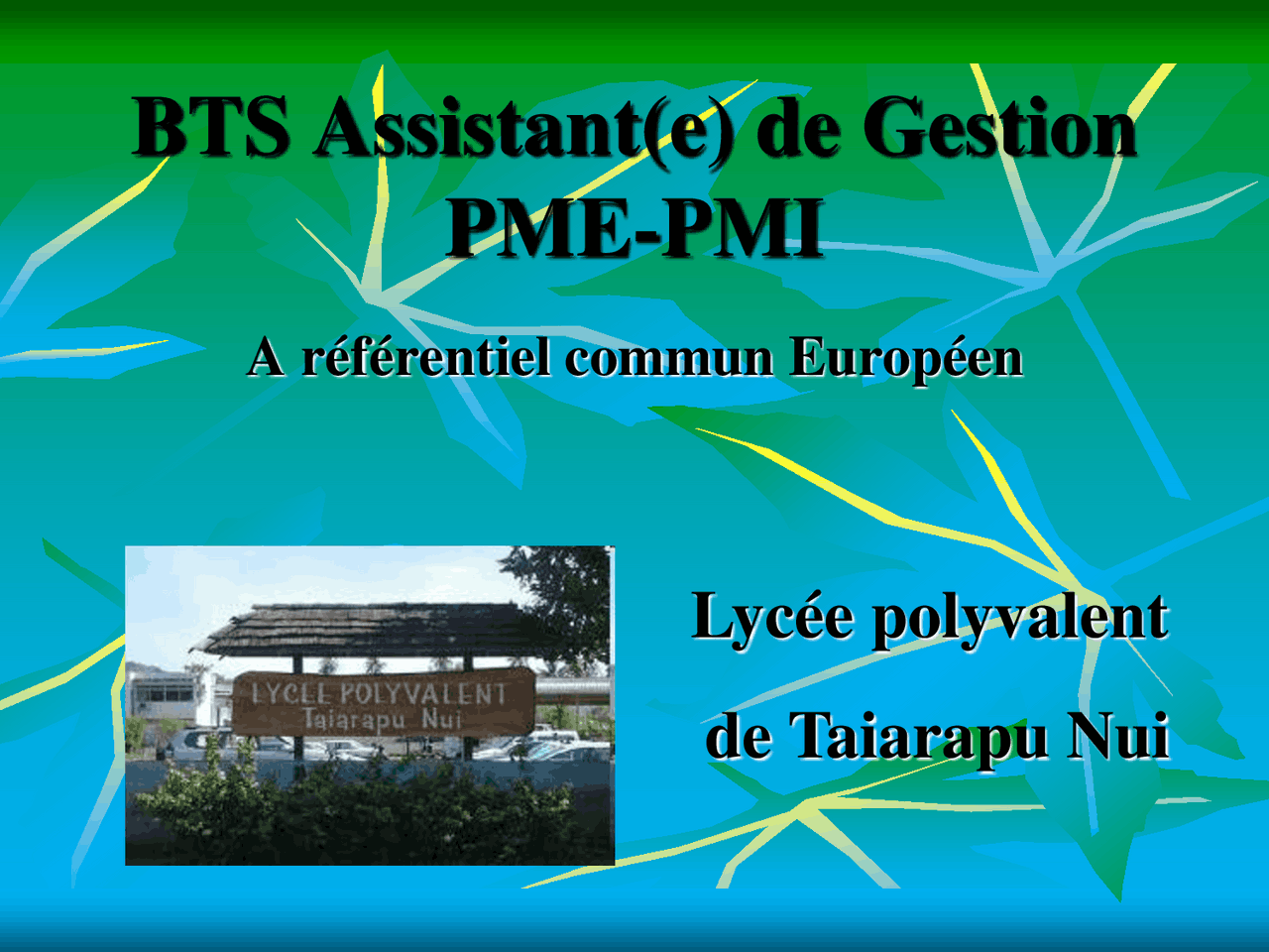 BTS Assistant(e) de Gestion PME-PMI | Schémas Communication | Docsity