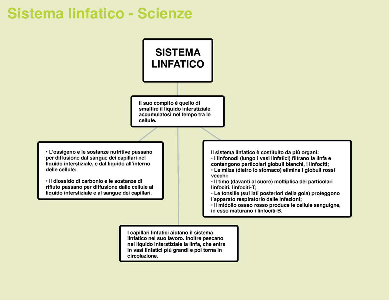 sistema linfatico sistema linfatico | Schemi e mappe concettuali di Scienze  della Terra | Docsity