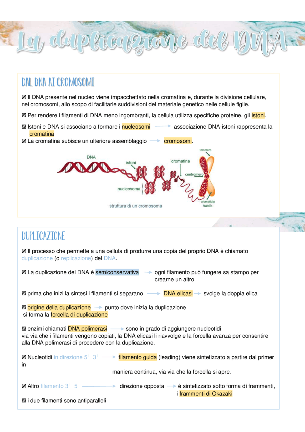 la duplicazione del DNA | Schemi e mappe concettuali di Chimica | Docsity