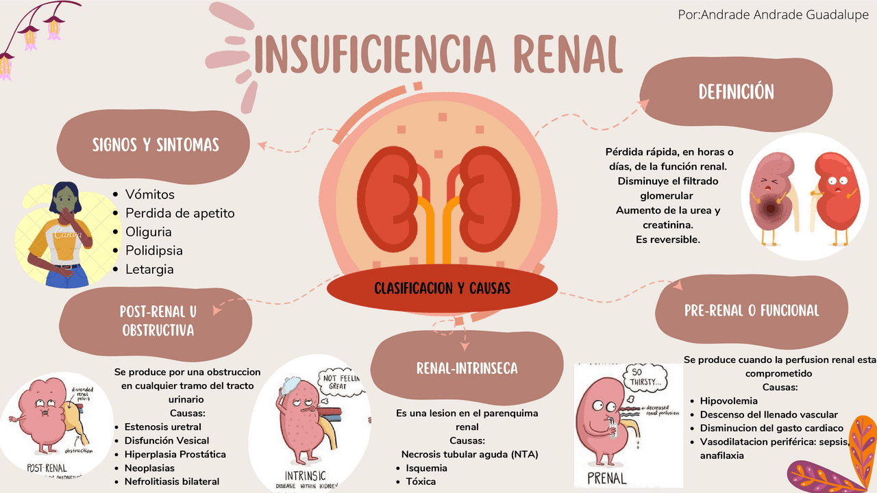 Insuficiencia renal aguda | Esquemas y mapas conceptuales de Anatomía