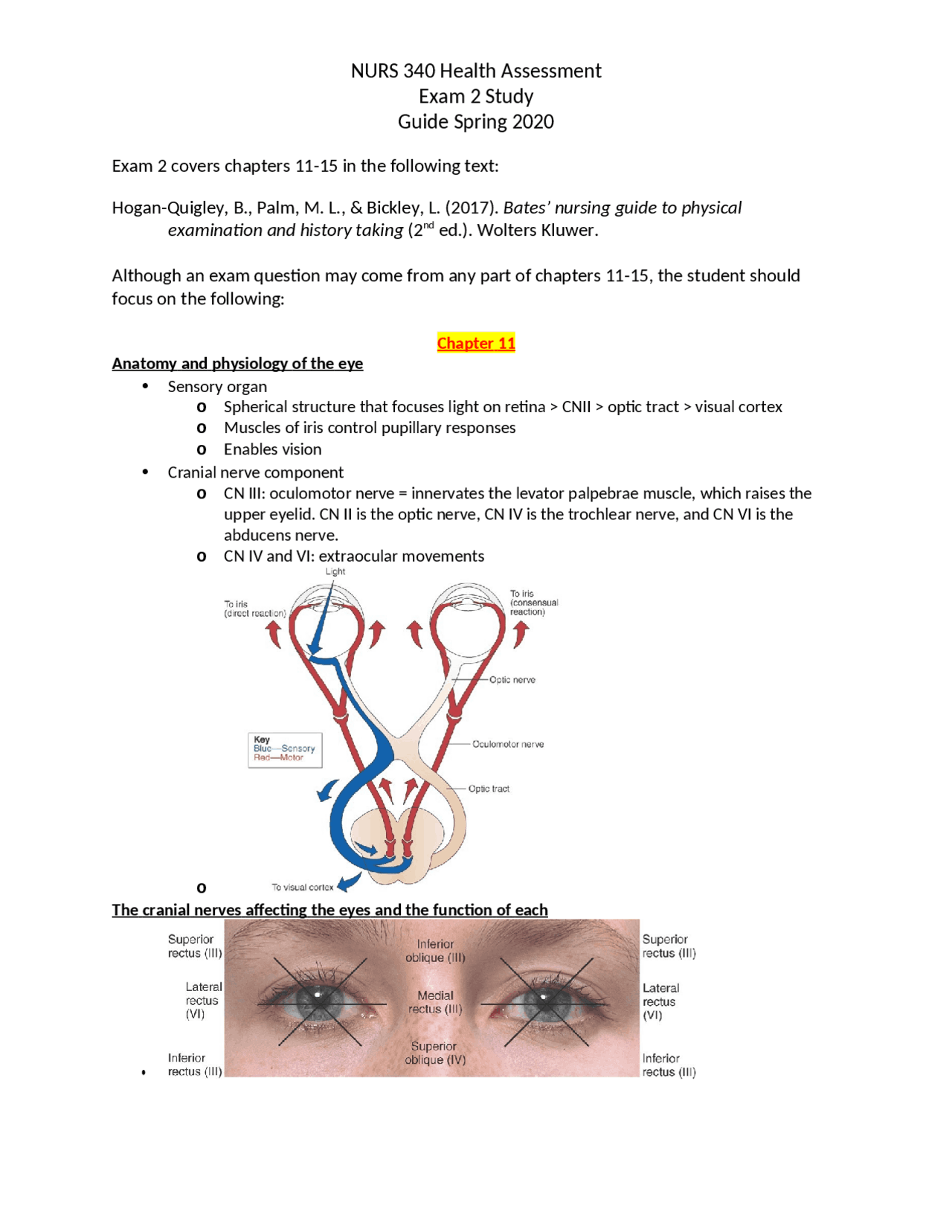 NURS 340 Health Assessment Exam 2 Study Guide Spring 2020 | Quizzes ...
