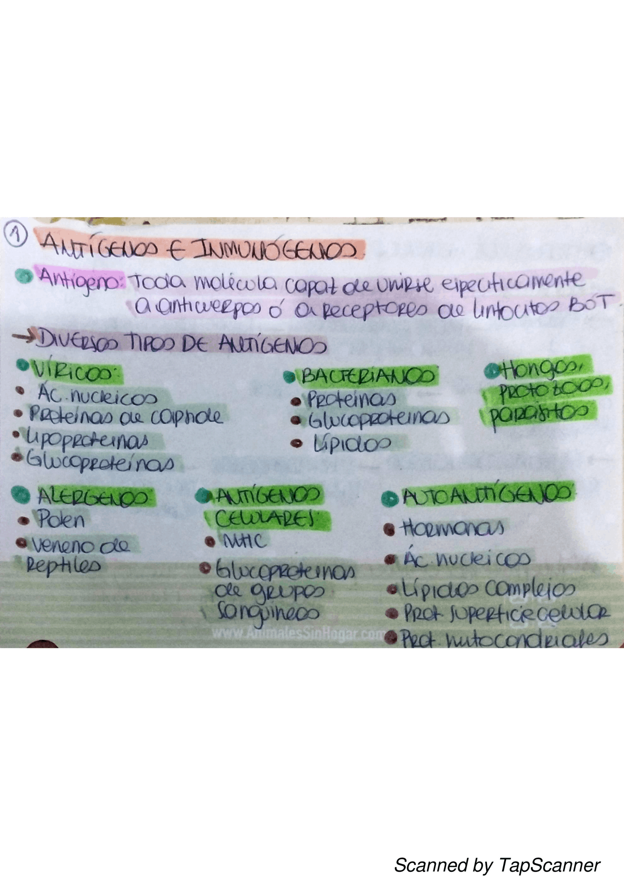 Flashcard Antígenos e Inmunógenos | Esquemas y mapas conceptuales de ...