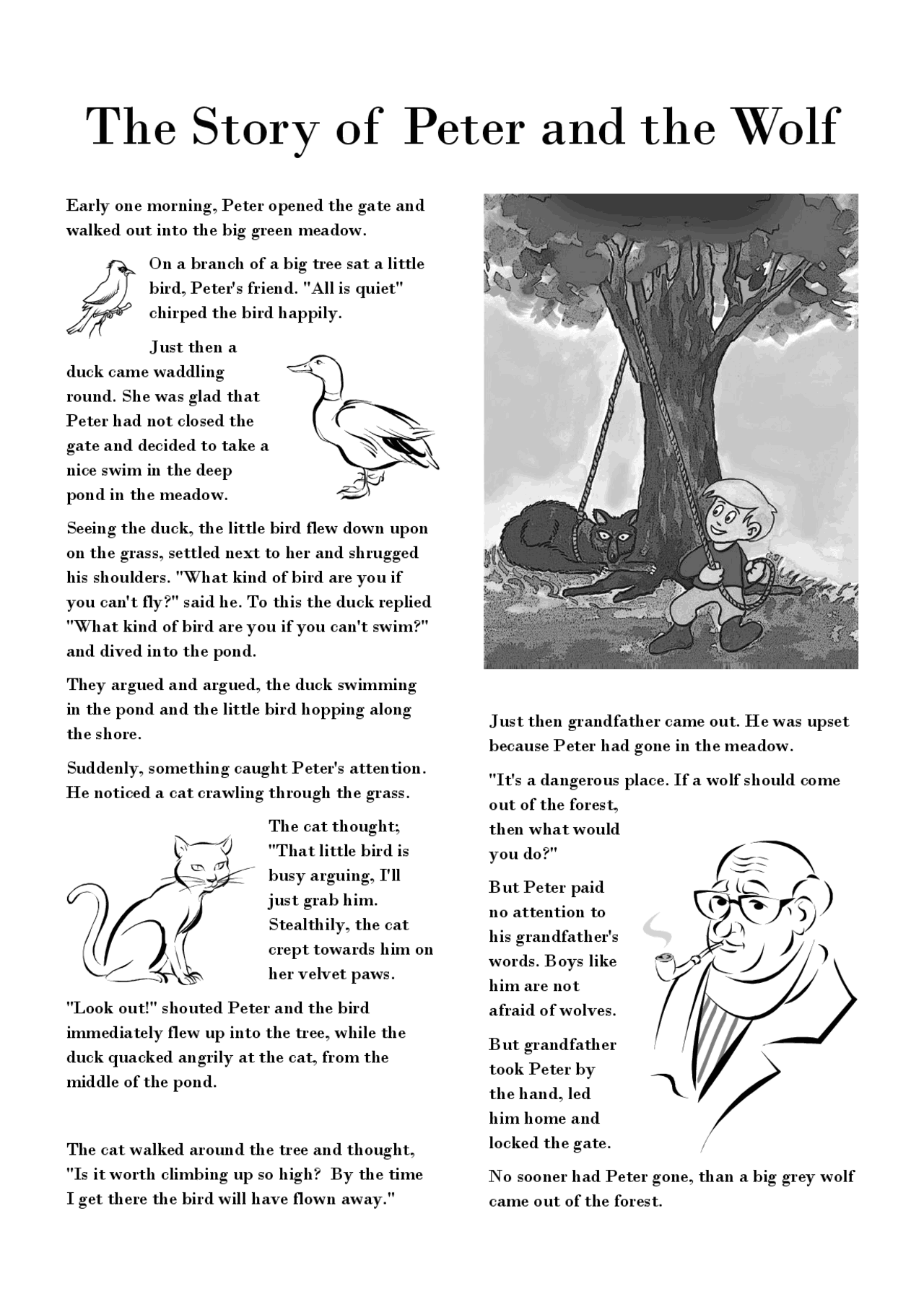 The Story of Peter and Wolf Summaries English Literature Docsity