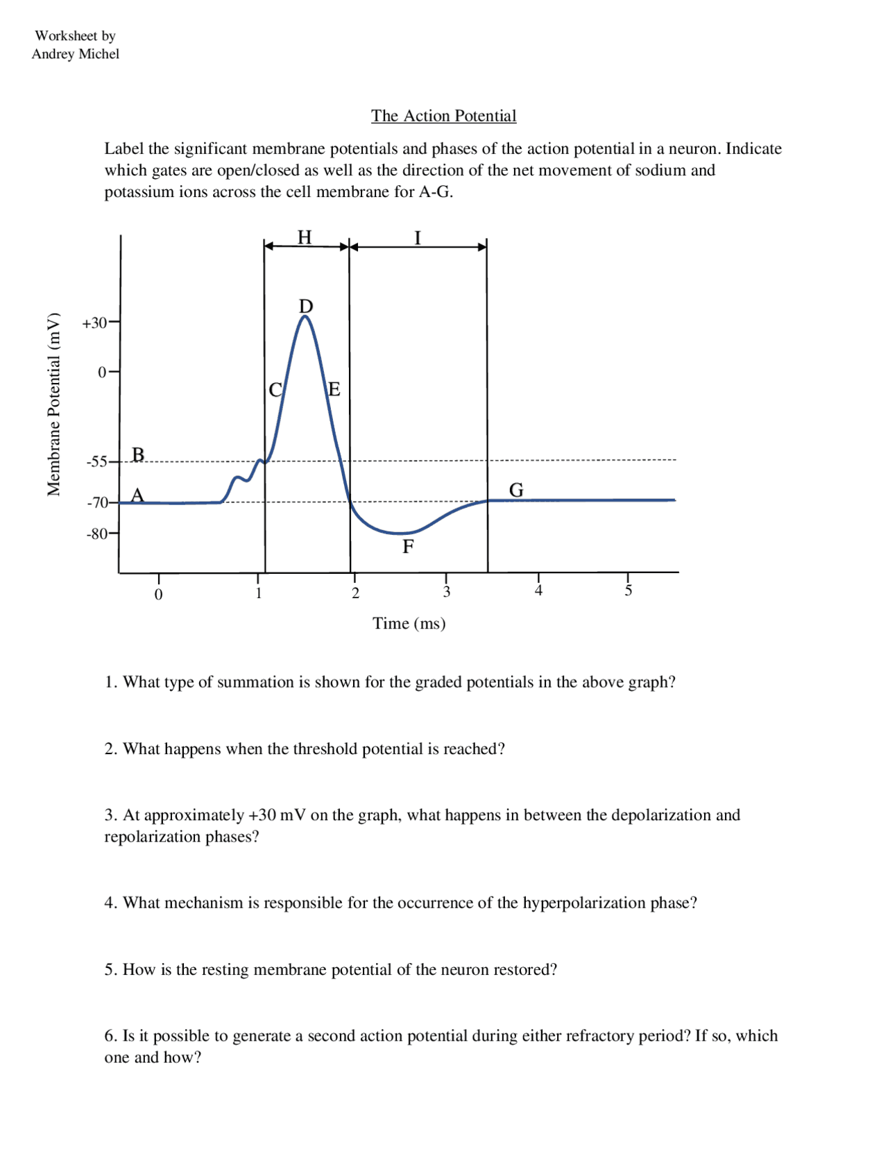 Action Potential Notes.pdf Action Potential worksheet By Andrey Michel | Quizzes Neurobiology ...