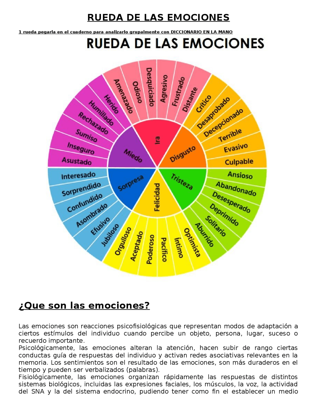 Rueda de las emociones | Apuntes de Sociología y ética | Docsity