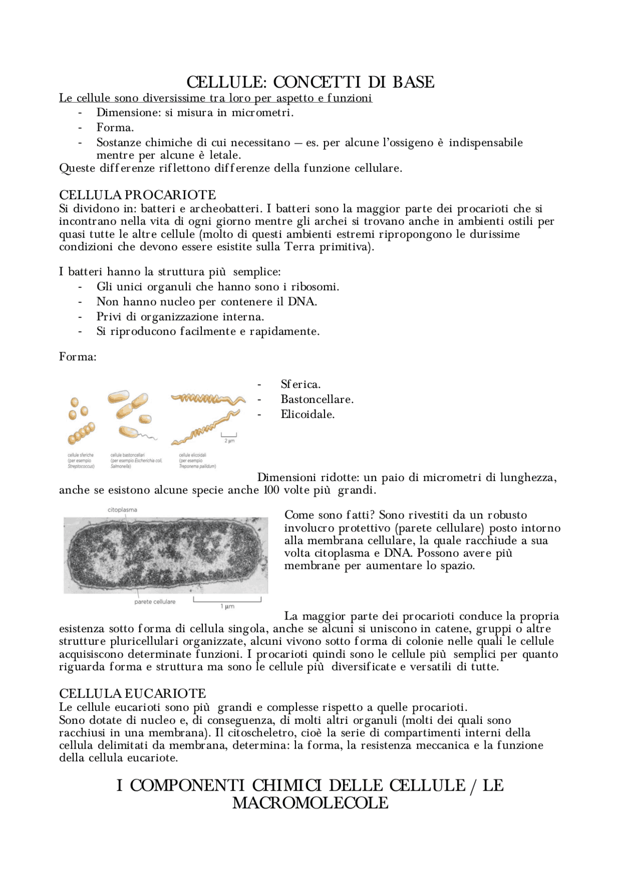 Sbobine di Biologia Animale Sbobinature di Biologia Animale Docsity Sbobine di Biologia Animale Sbobinature di Biologia Animale Docsity