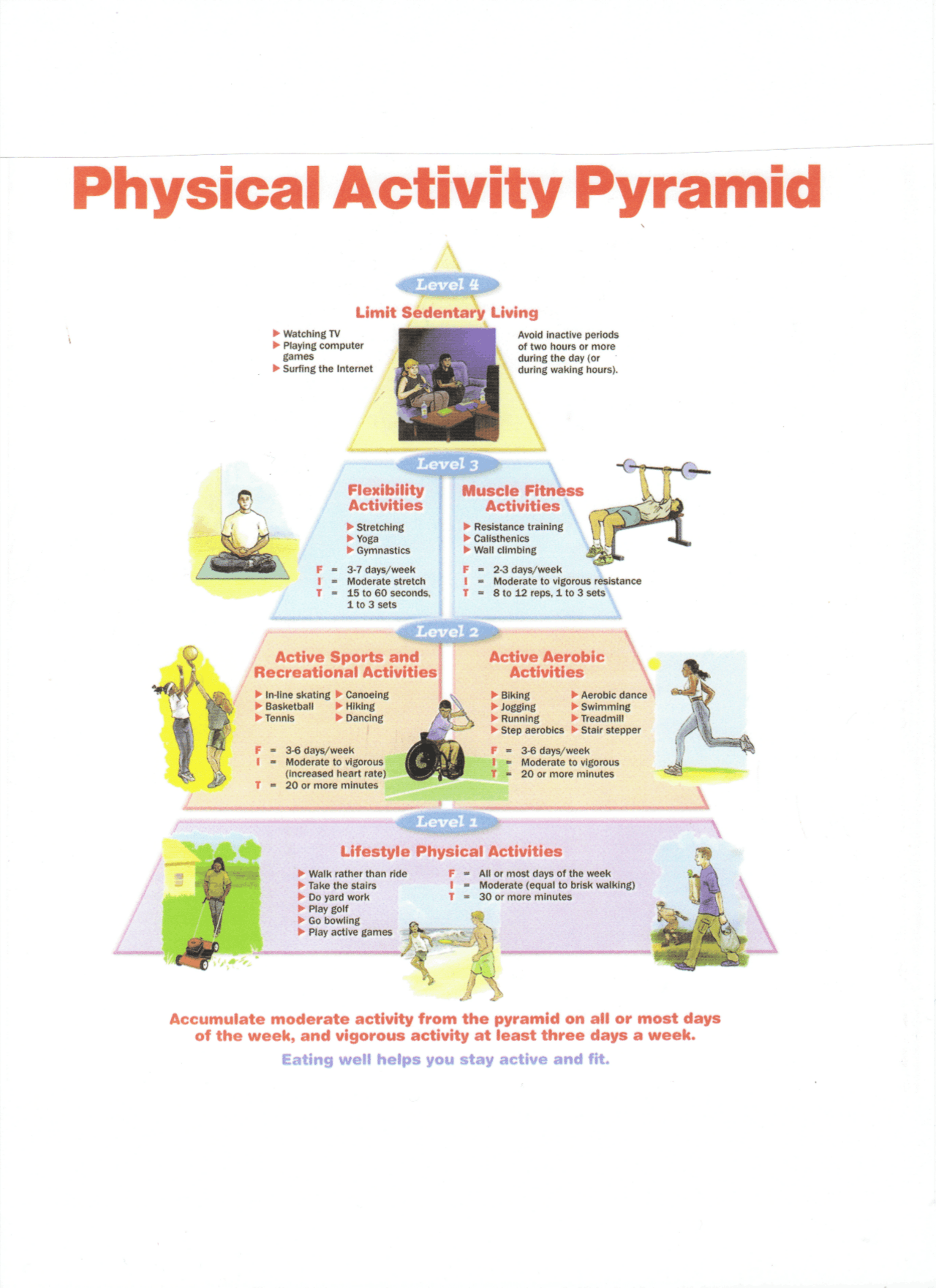 Physical Activity Pyramid | Exams Yoga | Docsity
