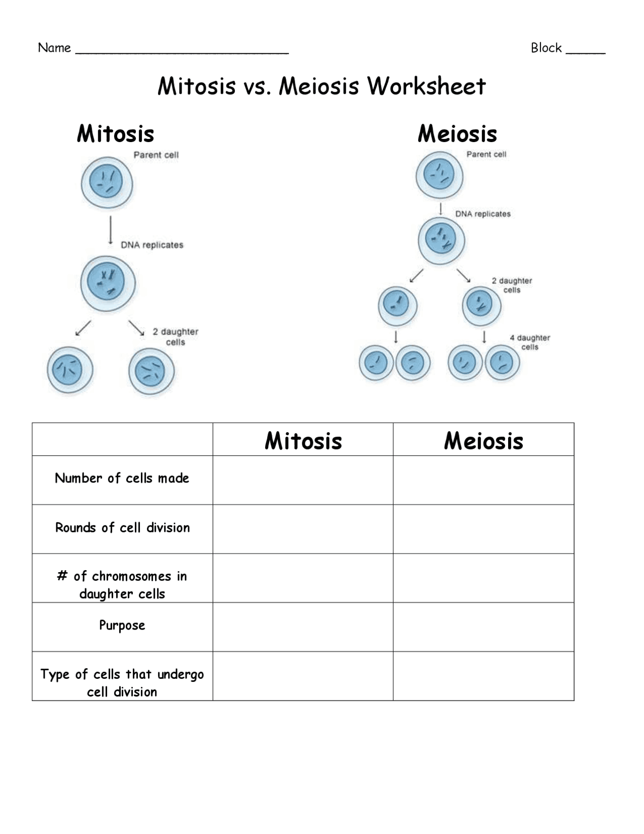 Mitosis vs. Meiosis Chart.pdf | Summaries Cell Biology | Docsity