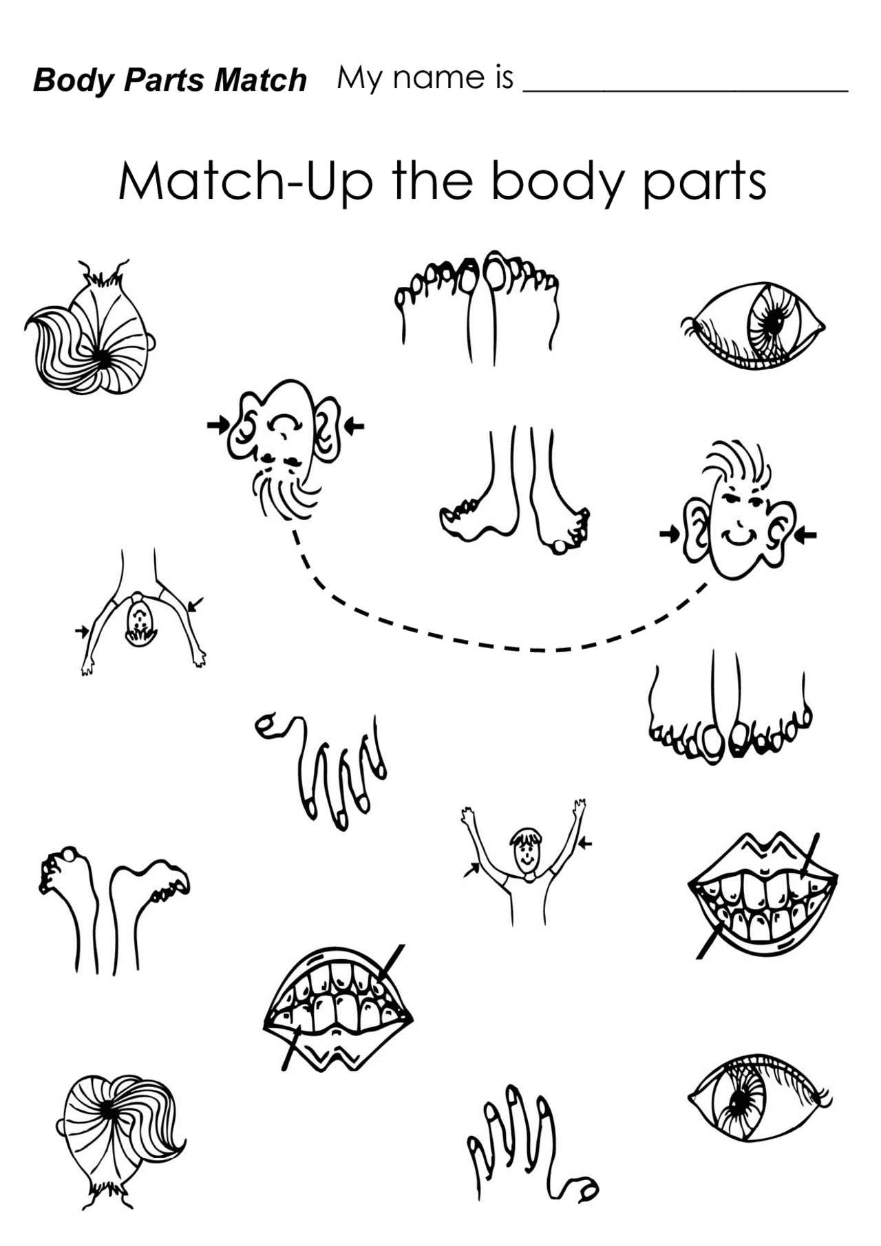 Match-Up the body parts | Exercises Anatomy | Docsity