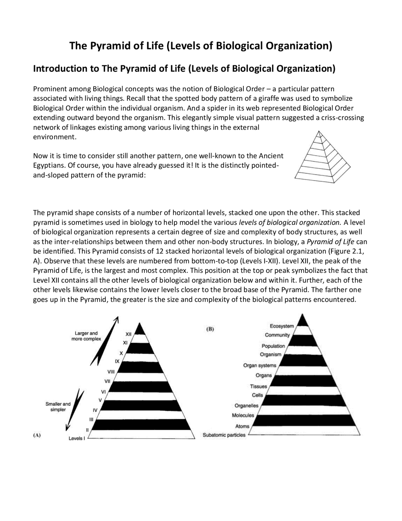 Life Pyramid Images The Pyramid of Life (Levels of Biological Organization) | Exams Biology ...