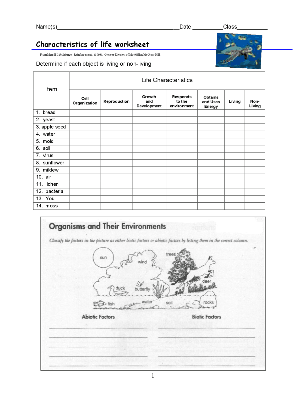 Characteristics of life worksheet | Lecture notes Life Sciences | Docsity
