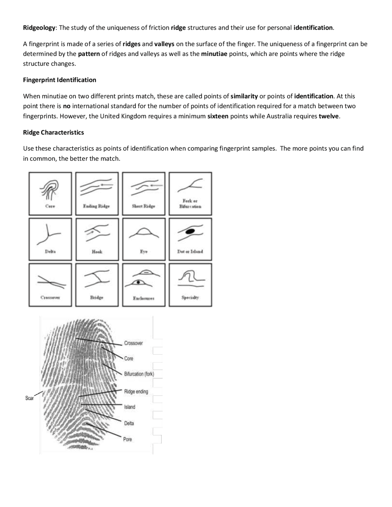 Fingerptint Identification Fingerprint Identification | Study notes Artificial Intelligence | Docsity