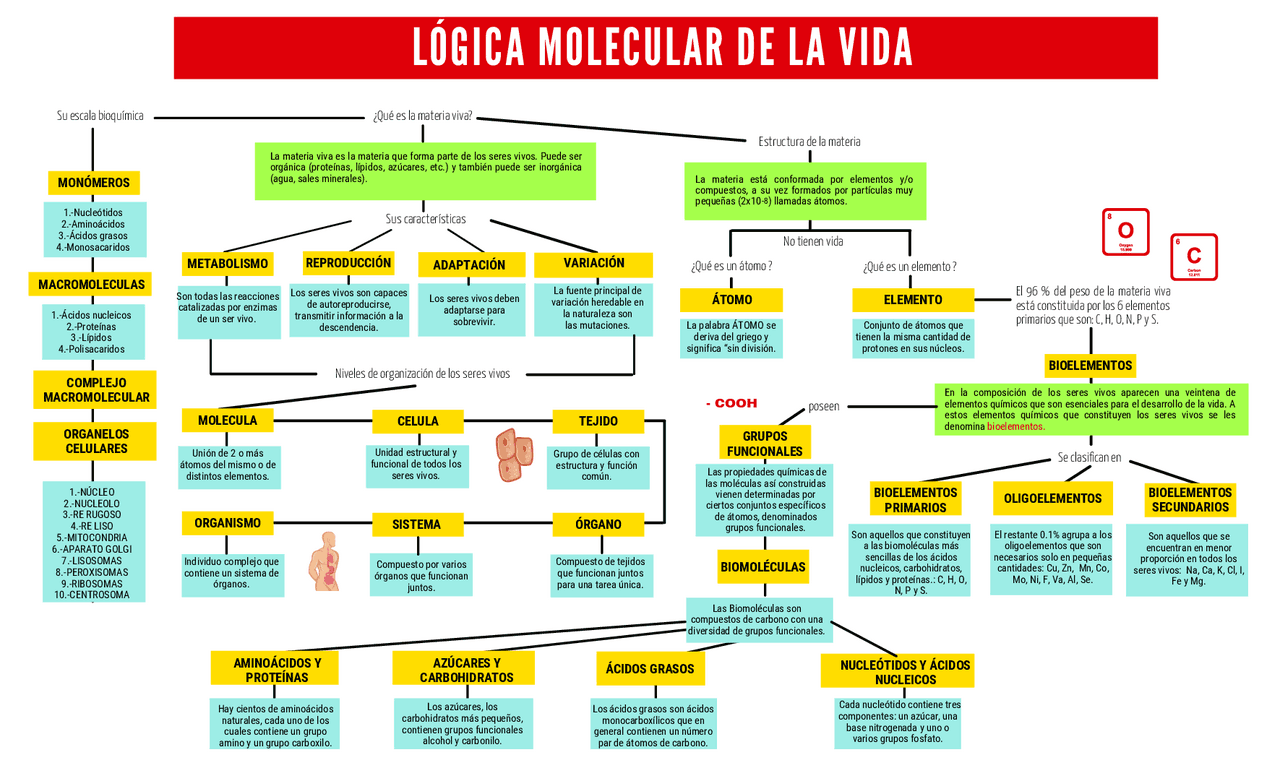 La Logica Molecular De La Vida