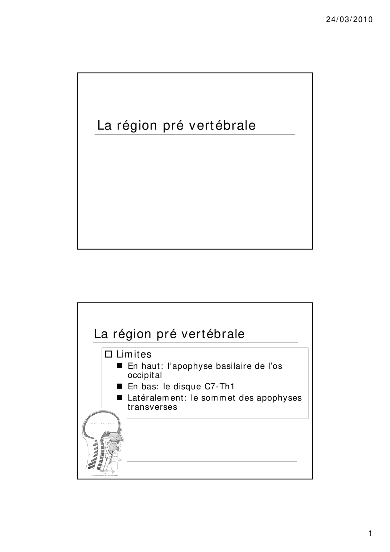 La région pré vertébrale g p | Slides Droit | Docsity