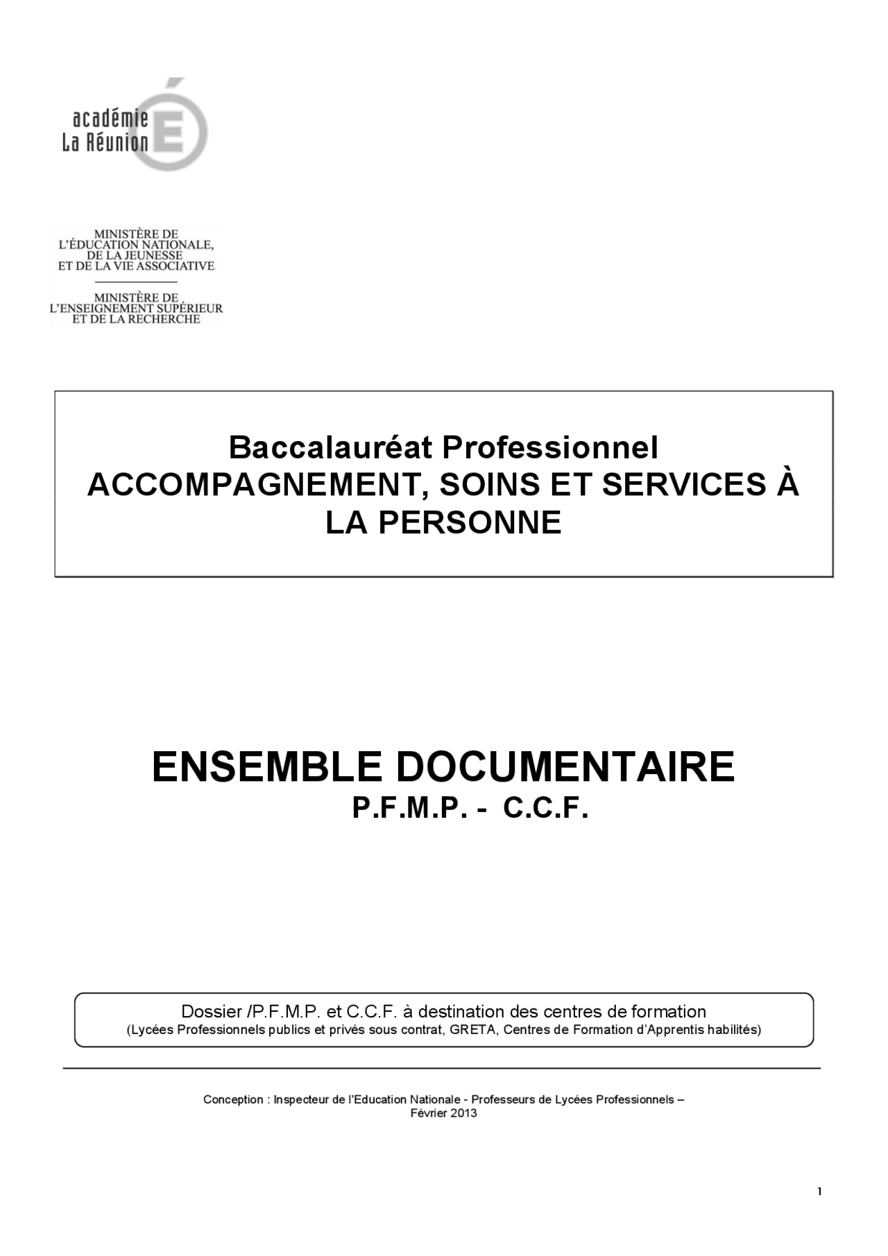 Exemple Dossier E13 Bac Pro Assp Ensemble documentaire 3 f v bac pro ASSP | Guide, Projets, Recherche  Matériels | Docsity