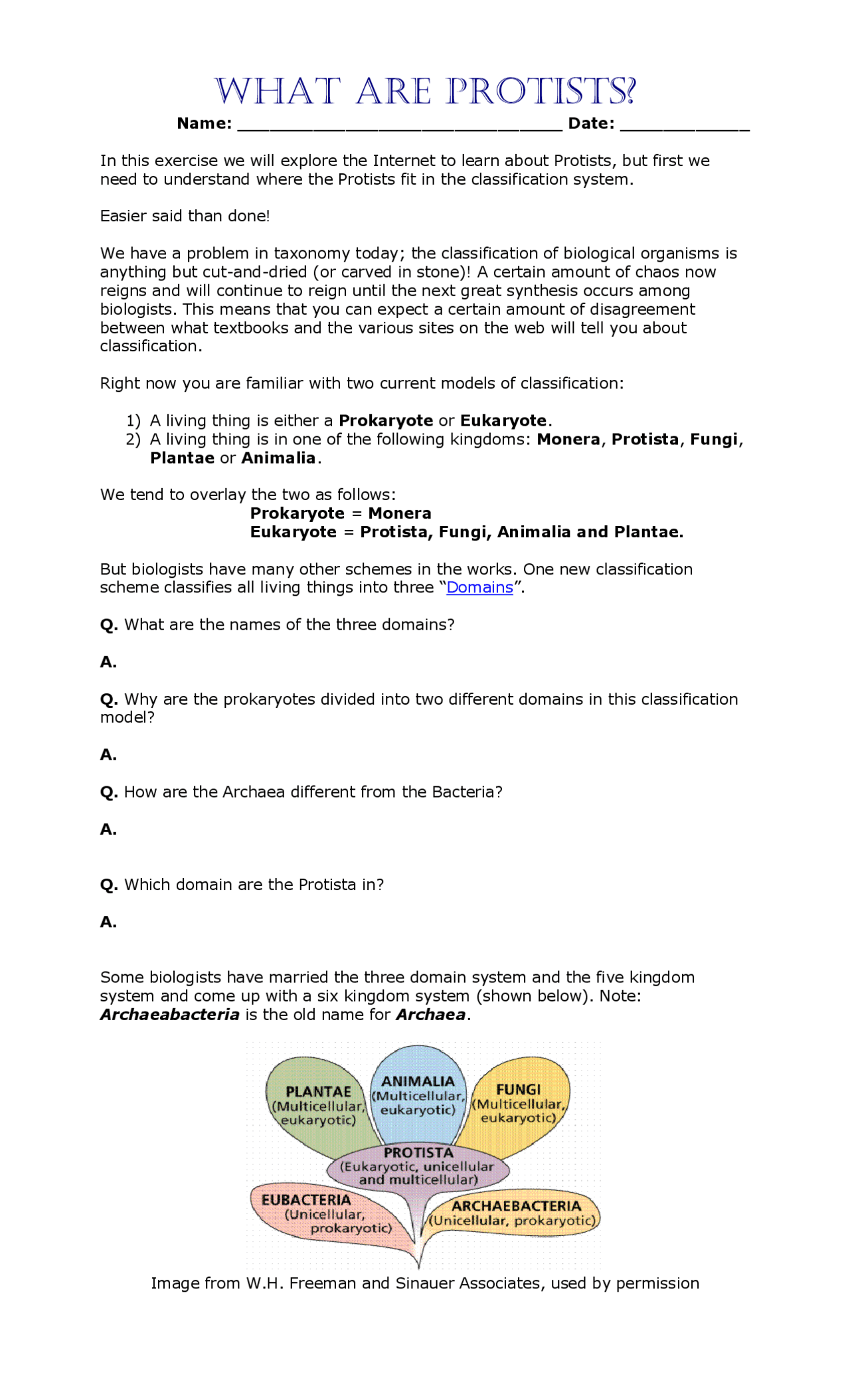 Protist Worksheet | Lecture notes Biology | Docsity