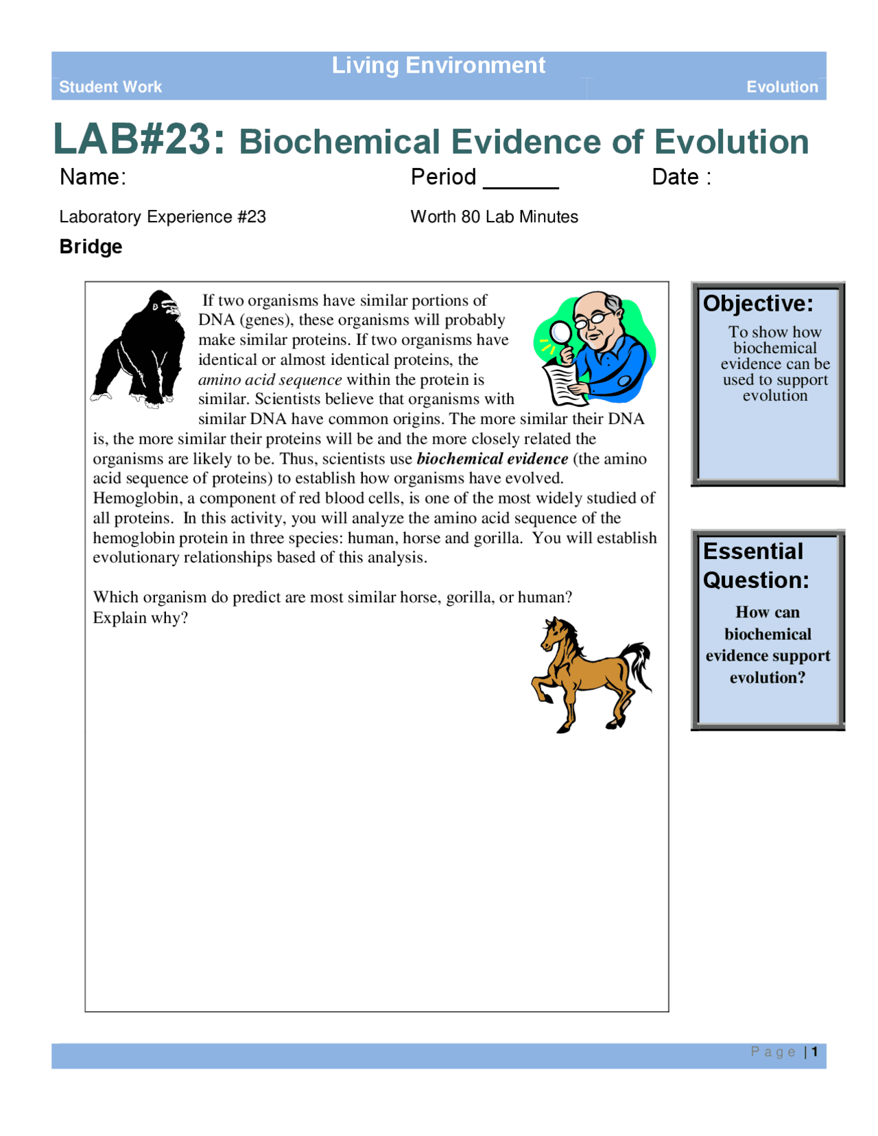Evidence Of Evolution Lab Worksheet Answer Key