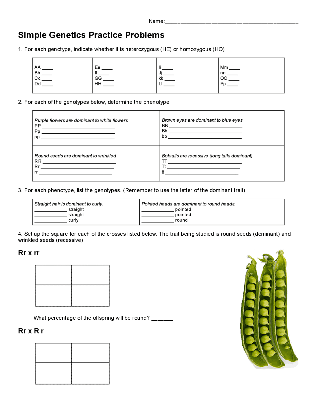 Simple Genetics Practice Problems | Summaries Genetics | Docsity