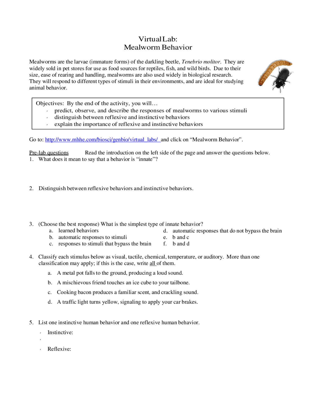Mealworm Behavior Lecture notes Construction Docsity