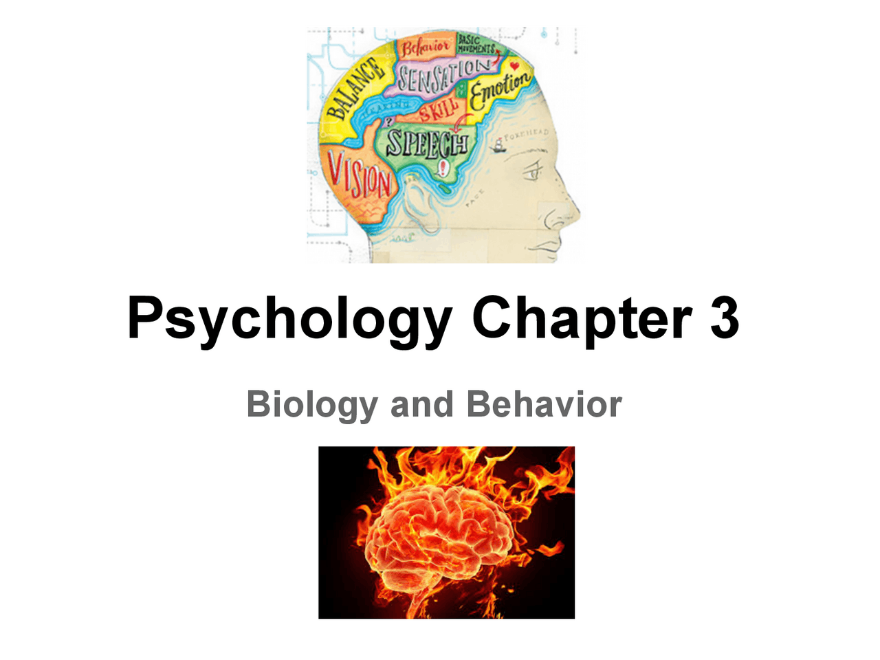 Psychology Chapter 3 Pdf Study Notes Psychology Docsity