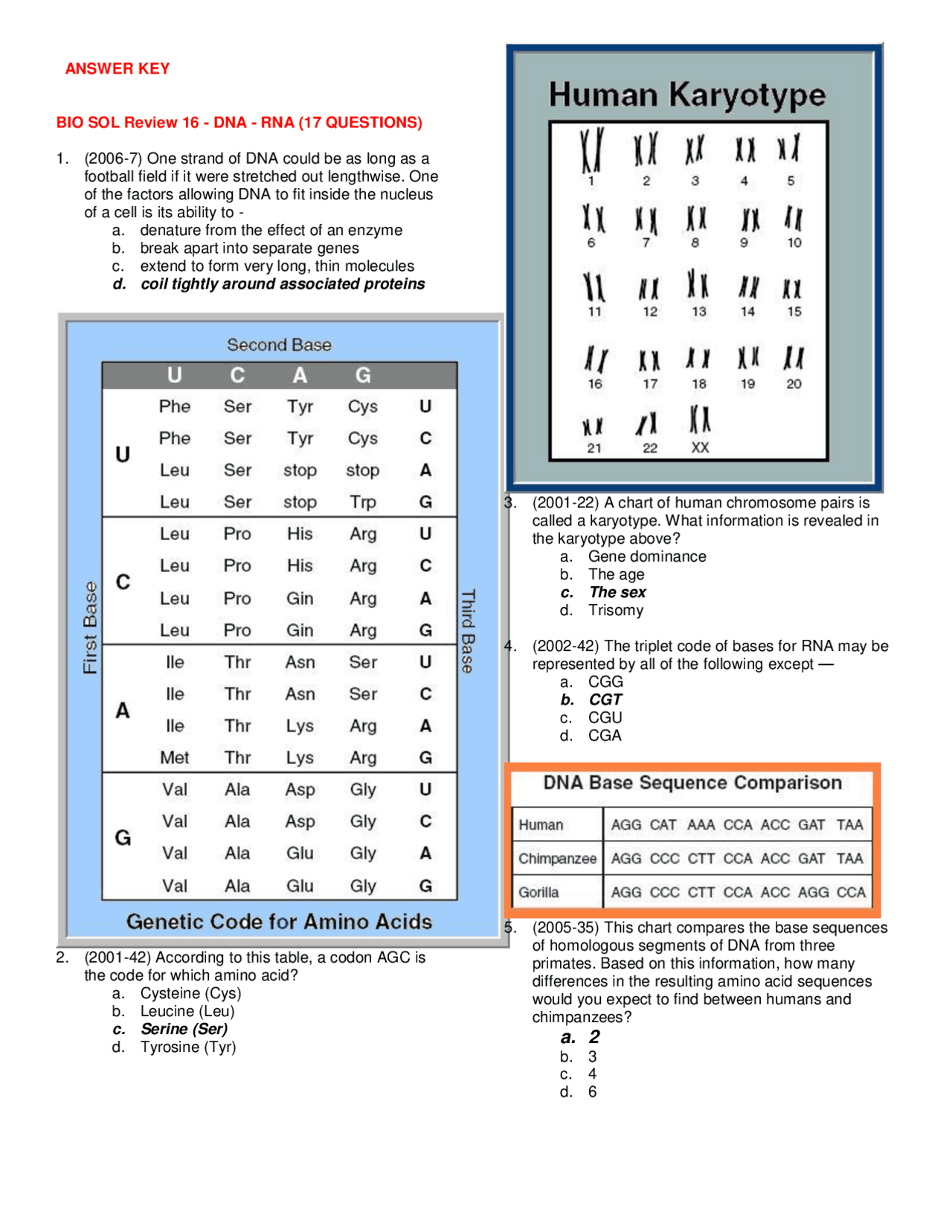 Answer Key for BIO SOL Review 16 - DNA - RNA | Lecture notes Biology ...