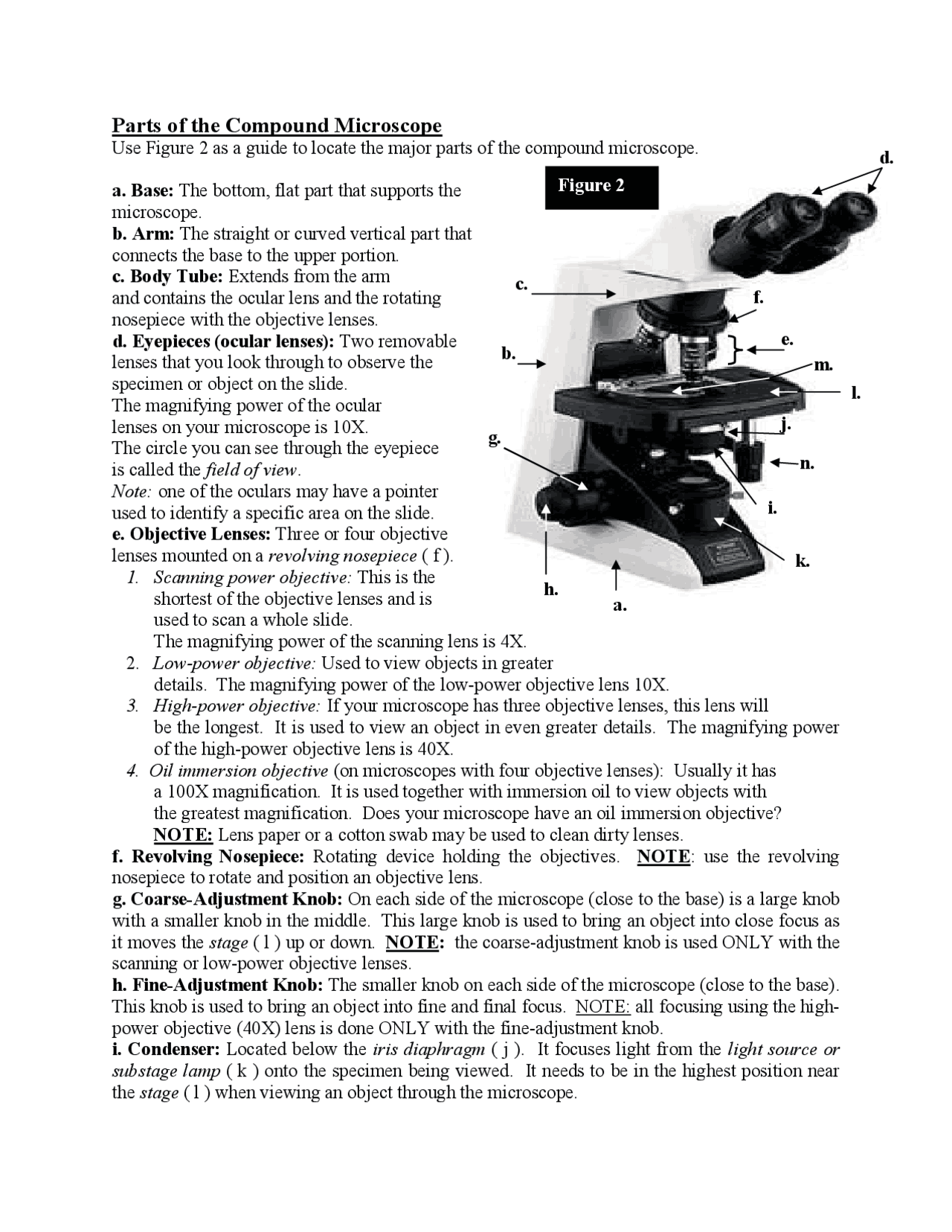 Parts of the Compound Microscope | Exercises Biology | Docsity