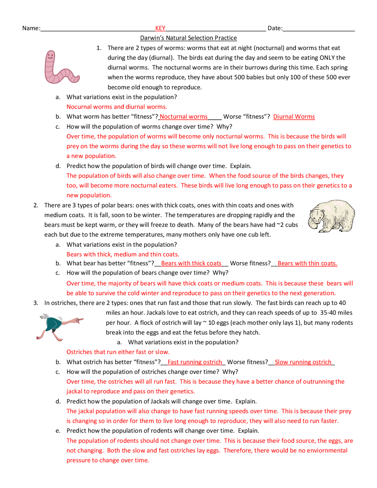 Darwin's Natural Selection Worksheet | Exams Genetics | Docsity darwin-s-natural-selection-worksheet-exams-genetics-docsity