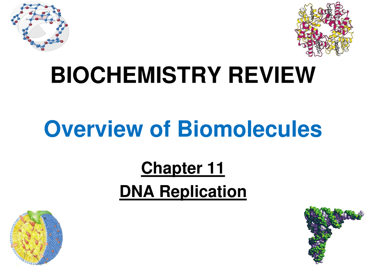 Biomolecules Review: DNA Replication | Lecture notes Biochemistry | Docsity