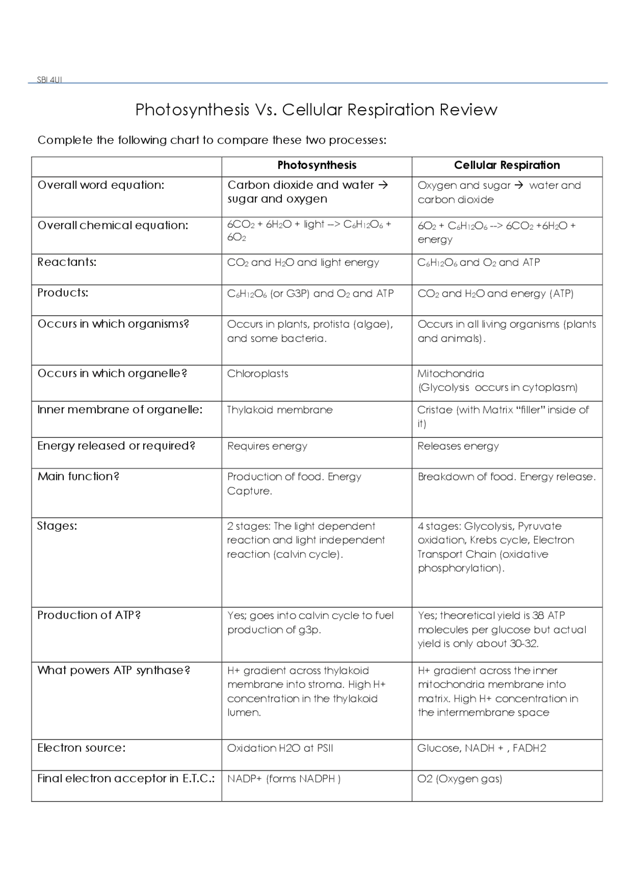 Photosynthesis Vs. Cell Respiration worksheet answers | Study notes Biology  | Docsity